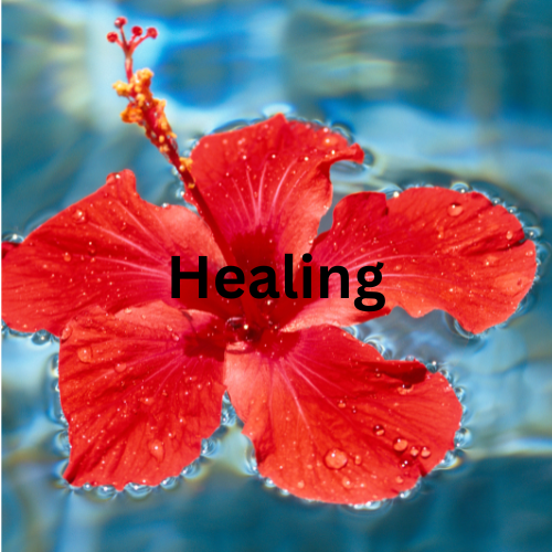 You Are Not Just a Body—You Are the Light Within It